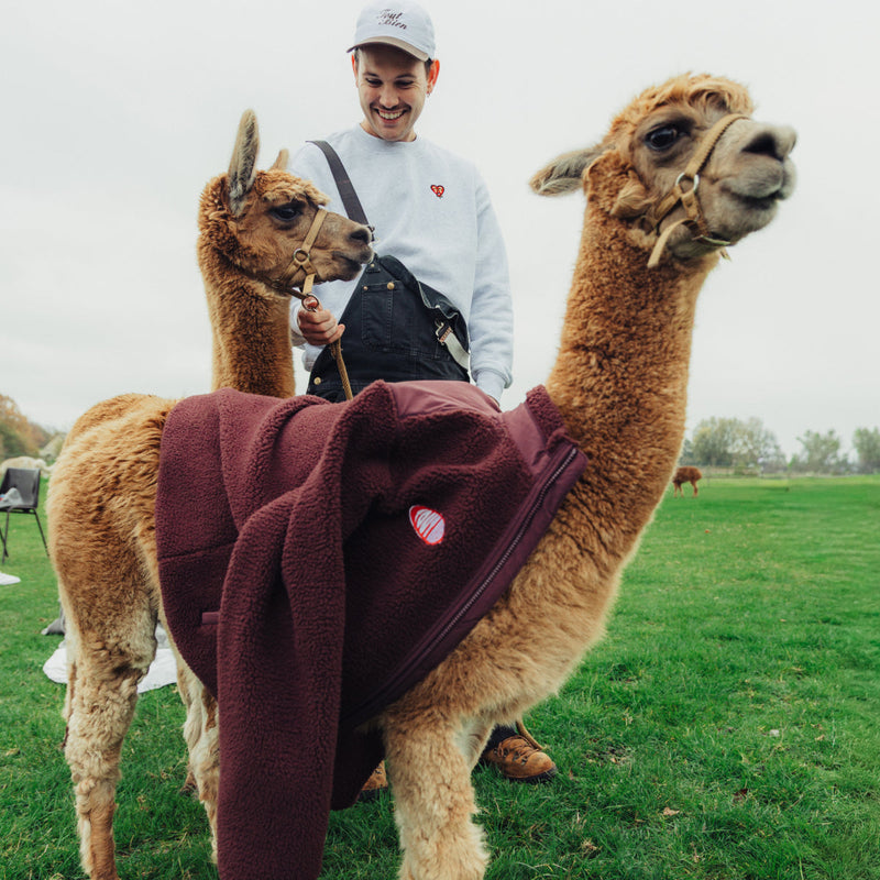 The Burgundy Sherpa