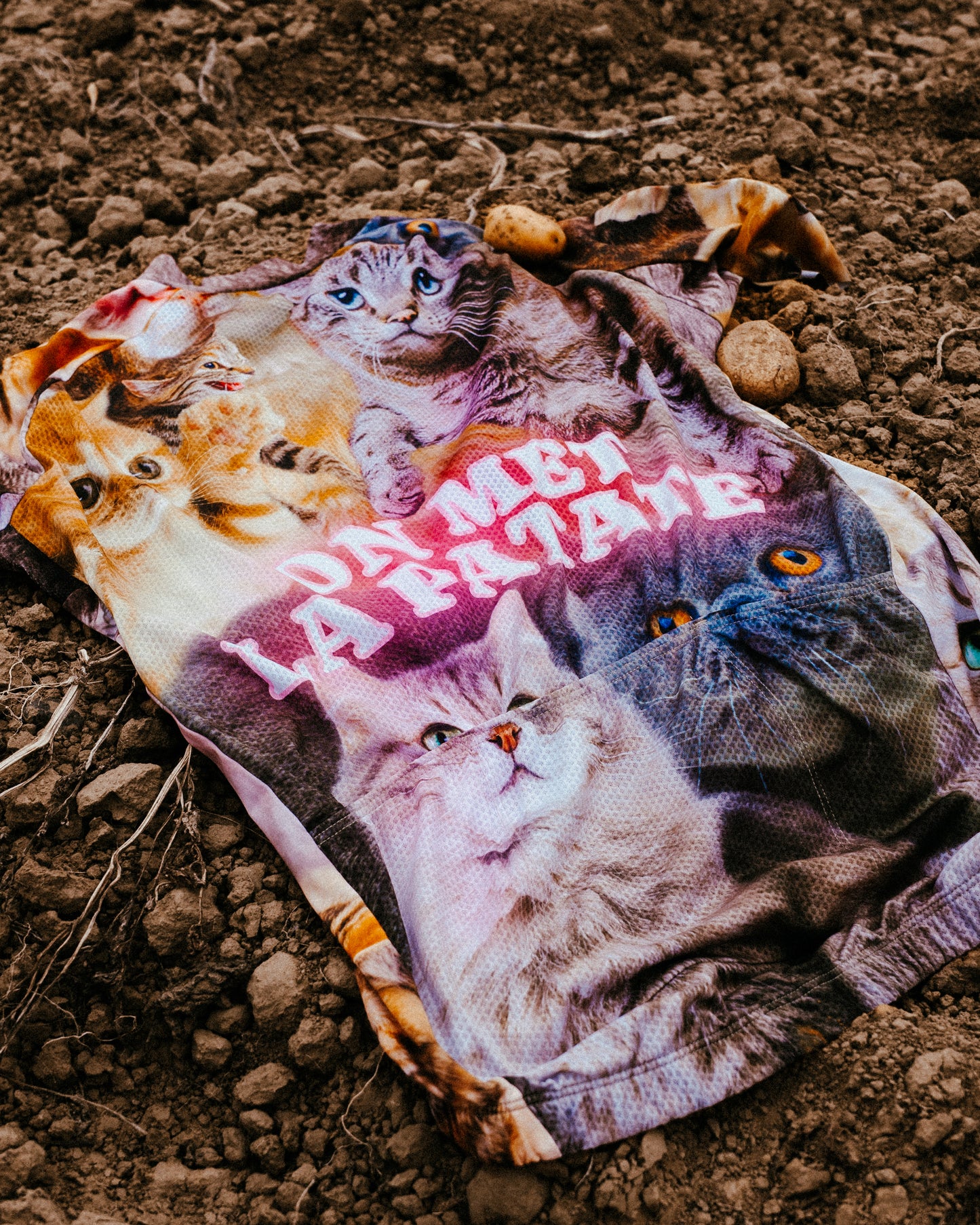 Cats Cycling Jersey